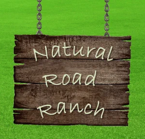 Natural Road Ranch logo projekt